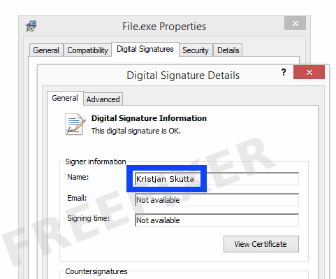 Screenshot of the Kristjan Skutta certificate